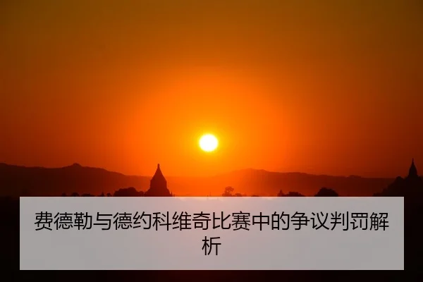 费德勒与德约科维奇比赛中的争议判罚解析